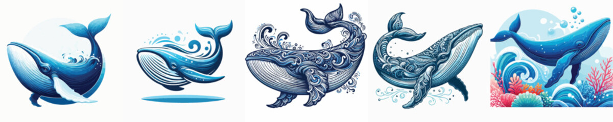 Whale Vector Image White Background