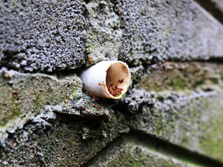 Close-up view of a pipe installed in the wall. 