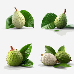 Four distinct arrangements of soursop fruits, showcasing their unique textures and vibrant green leaves against a clean white background.