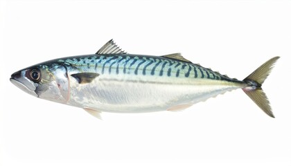 Fototapeta premium High-resolution image of a fresh mackerel fish isolated on white, highlighting its vibrant colors and detailed texture.