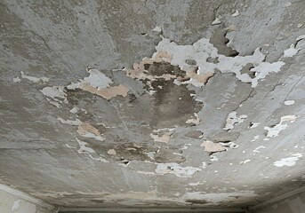 剥がれた天井の質感 傷んだ石膏ボード