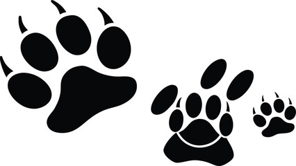 Black Bear Paw Prints Isolated on White Background Wildlife Tracking and Animal Footprints in the Wilderness