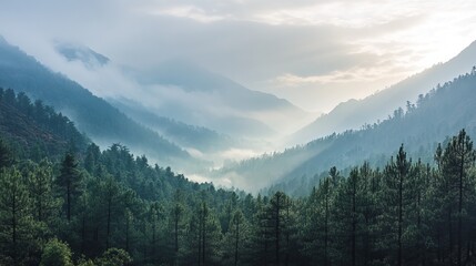 Misty mountain valley, lush forests