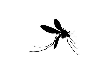 Silhouette of a Mosquito with Wings and Long Legs