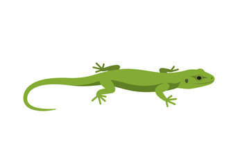 Simple Green Lizard Illustration with Black Eye and Spot, Side View