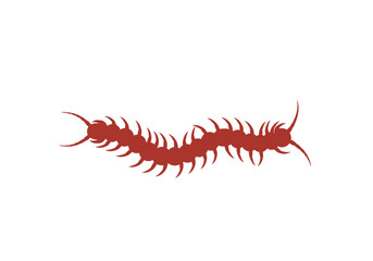 Stylized Red Centipede Illustration with Curved Body and Spiked Legs
