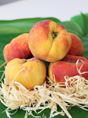 Peach — a juicy and sweet stone fruit known for its fuzzy skin and fragrant aroma. Rich in vitamins and antioxidants, peaches are enjoyed fresh, in desserts, or as ingredients in savory dishes. 