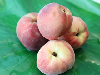 Peach — a juicy and sweet stone fruit known for its fuzzy skin and fragrant aroma. Rich in vitamins and antioxidants, peaches are enjoyed fresh, in desserts, or as ingredients in savory dishes. 