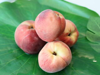 Peach — a juicy and sweet stone fruit known for its fuzzy skin and fragrant aroma. Rich in vitamins and antioxidants, peaches are enjoyed fresh, in desserts, or as ingredients in savory dishes. 