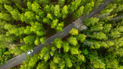 Aerial view of dark green forest road and white electric car Natural landscape and elevated roads Adventure travel and transportation and environmental protection concept	