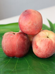 Peach — a juicy and sweet stone fruit known for its fuzzy skin and fragrant aroma. Rich in vitamins and antioxidants, peaches are enjoyed fresh, in desserts, or as ingredients in savory dishes. 