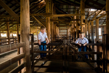 Happy brothers in rustic Australian shearing shed on farm