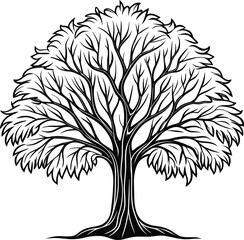 Black tree outline isolated on white background vector illustration