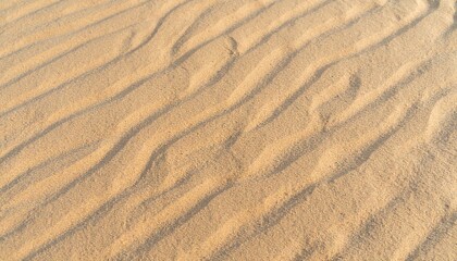 Fototapeta premium Fine Sand Texture with Seamless Pattern