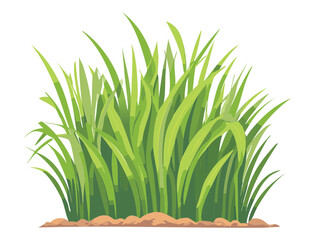 Tall Grass Bush with Fresh Green Blades