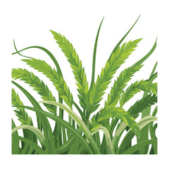 Fototapeta premium Unique Green Plant with Fern-like Leaves