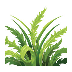 Fototapeta premium Unique Bush of Grass with Serrated Leaves