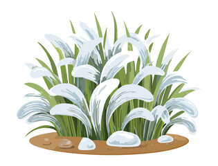 White Fluffy Bush with Detailed Leaves