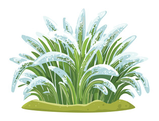 Unique Silver Plant with Fluffy Leaves