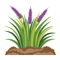 A Plant with Purple and Green Stalks