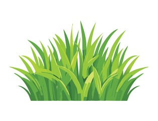 Bush of Healthy Green Meadow Grass