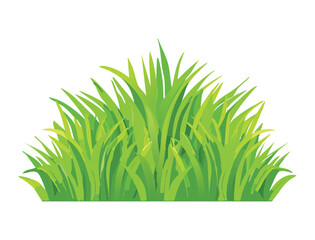 A Bush of Fresh Green Grass Plants