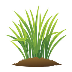 A simple, lush green grassy bush illustration