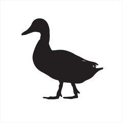 Silhouette of a Duck Standing - Vector Illustration