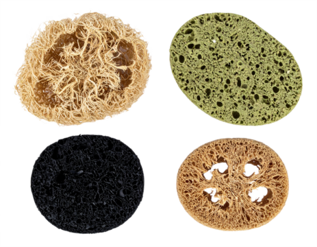 Discover natural beauty with a collection of organic exfoliating sponges for skincare routines
