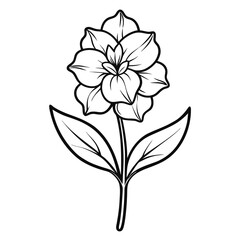 matthiola sinuata flower  line art vector  on white background