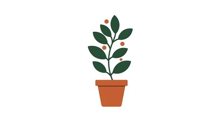 Obraz premium Simple illustration of a potted plant with leaves and berries, perfect for design and decoration