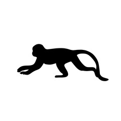 Monkey silhouette illustration