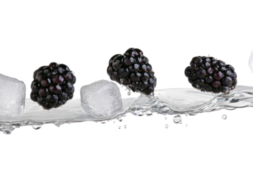 Blackberry and Ice: An artistic composition features three ripe blackberries elegantly positioned amid glistening ice cubes and a gentle flow of water, capturing the freshness and vitality.