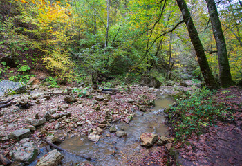 the source of the river, a walk along the riverbed with an overview of the canyon of the river and the shallow riverbed