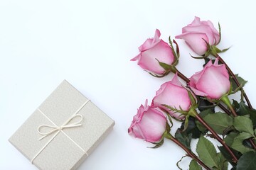 Pink rose and gift box,blank sheet, free space