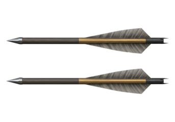 Two archery arrows with feathers and metal tips isolated on transparent background
