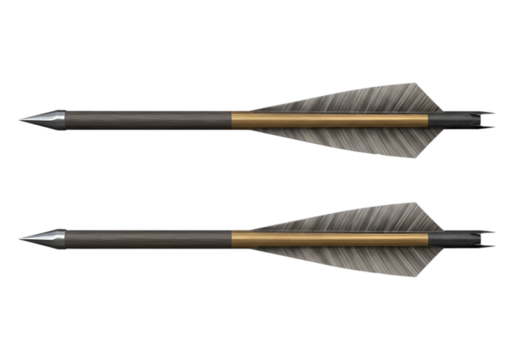 Two archery arrows with feathers and metal tips isolated on transparent background