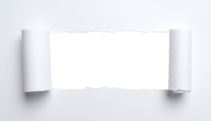 Cadre en papier déchiré (blanc)