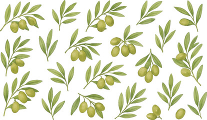 Beautiful Green Olive Branch Illustration for Decorative Design and Nature Art
