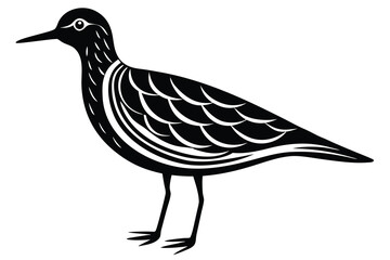 Obraz premium Black and White Illustration of a Sandpiper with Scaled Feathers and Long Beak