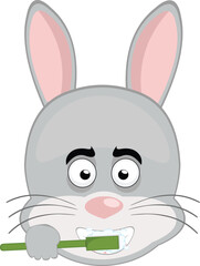 vector illustration emoticon character face rabbit rodent animal, brushing his teeth with a toothbrush