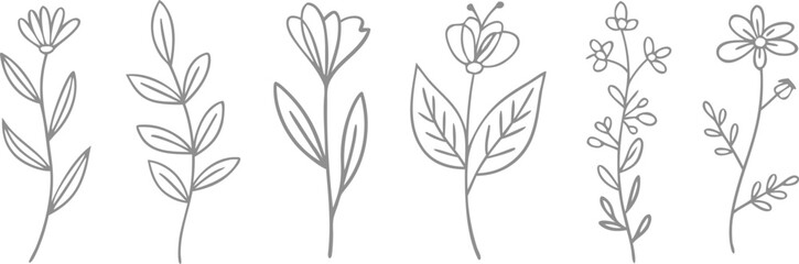 Fototapeta premium Elegant Gray Floral Line Art Delicate Flower and Leaf Illustrations on White Background