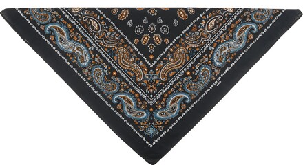 Black Paisley Bandana on White Background