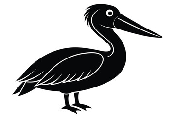 Fototapeta premium Cartoon Black and White Pelican Illustration Simple of Coastal Bird Icon