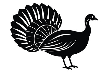 Fototapeta premium Elegant Black and White Turkey Illustration Featuring Ornate Feathers on White Background