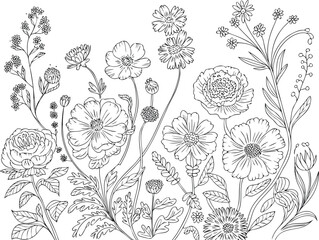 Delicate Line Art Flower Illustration Floral Design with Roses, Daisies and Decorative Foliage