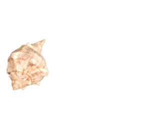 Bahamas Flag Painted on Driftwood with Tropical Beach Vibe and Natural Texture