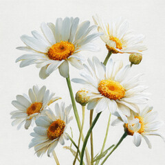 Fototapeta premium White daisy blooms display cheerful and bright floral arrangement