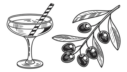 Martini cocktail with olive branch illustration for bar menu and drink recipe graphic design vector