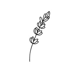 Vector art of elegant lavender branch isolated on white background in minimalist style